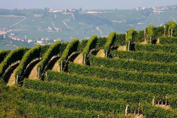 Agriturismo Cascina Rabalot Diano dʼAlba Esterno foto