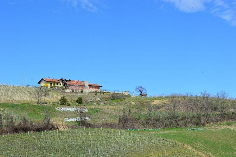 Agriturismo Cascina Rabalot Diano dʼAlba Esterno foto