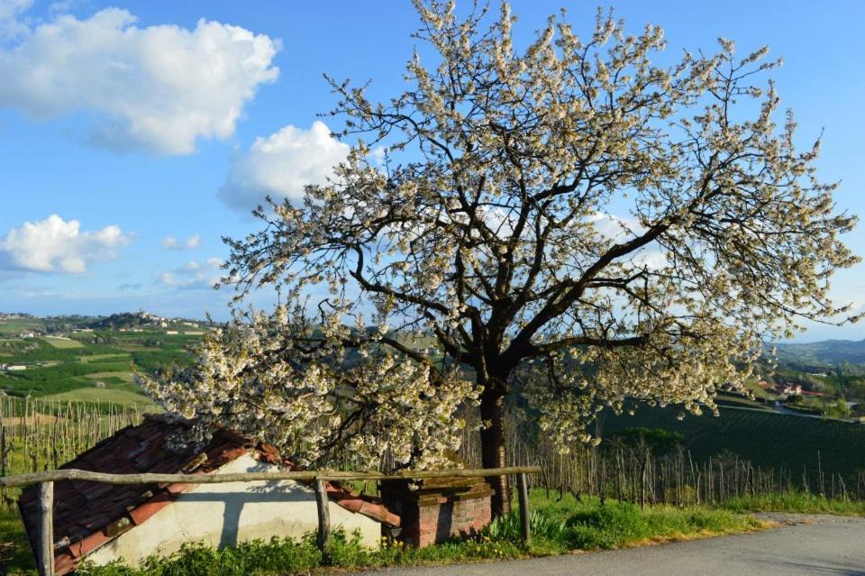 Agriturismo Cascina Rabalot Diano dʼAlba Esterno foto