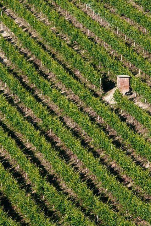 Agriturismo Cascina Rabalot Diano dʼAlba Esterno foto